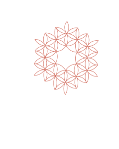 Logo primaire